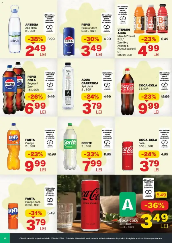 Pagina 12