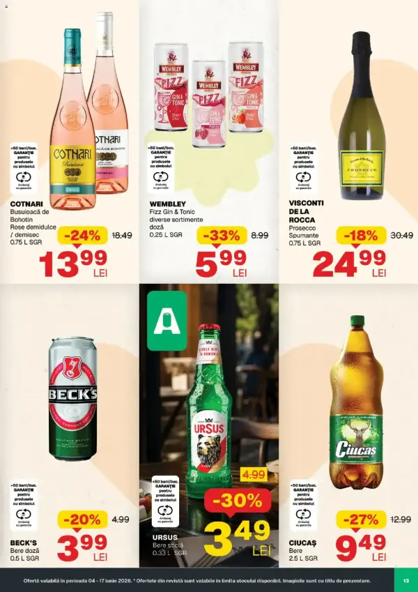 Pagina 13