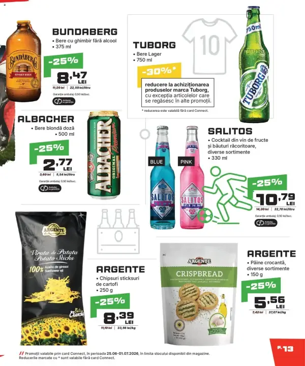 Pagina 13