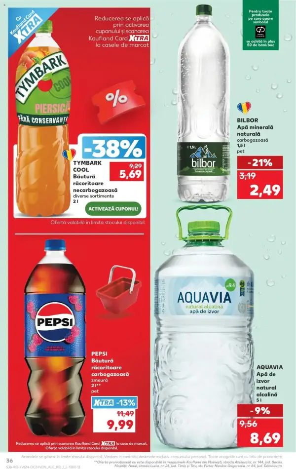 Pagina 36