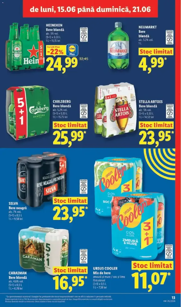 Pagina 13
