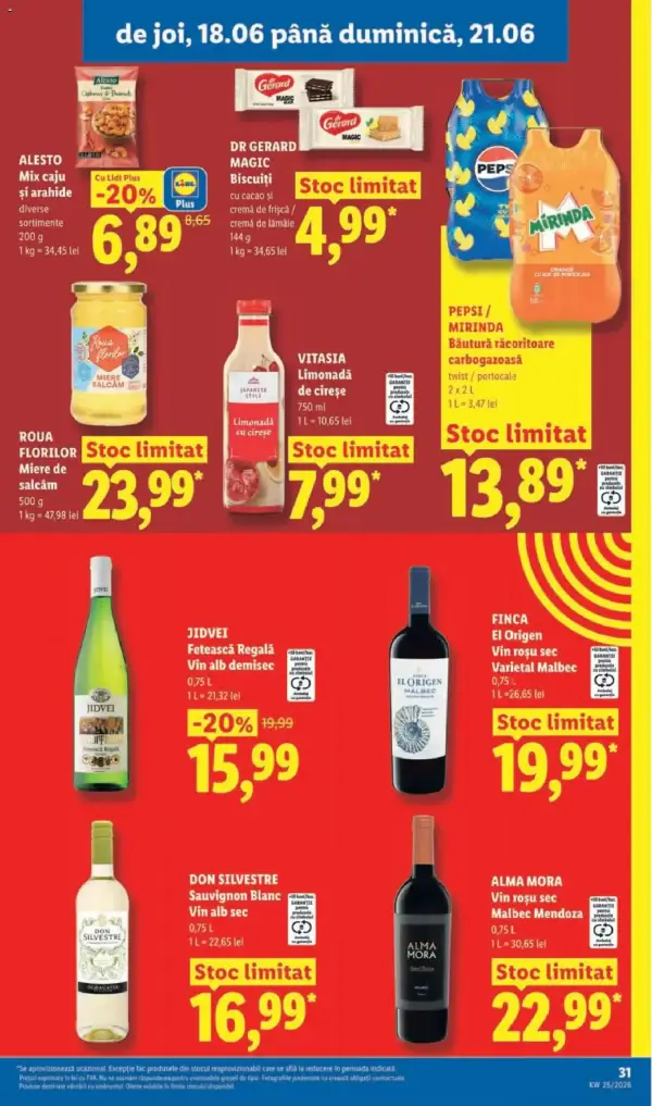 Pagina 31