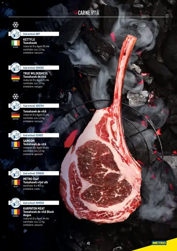 Pagina 41