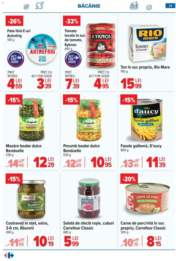 Pagina 24