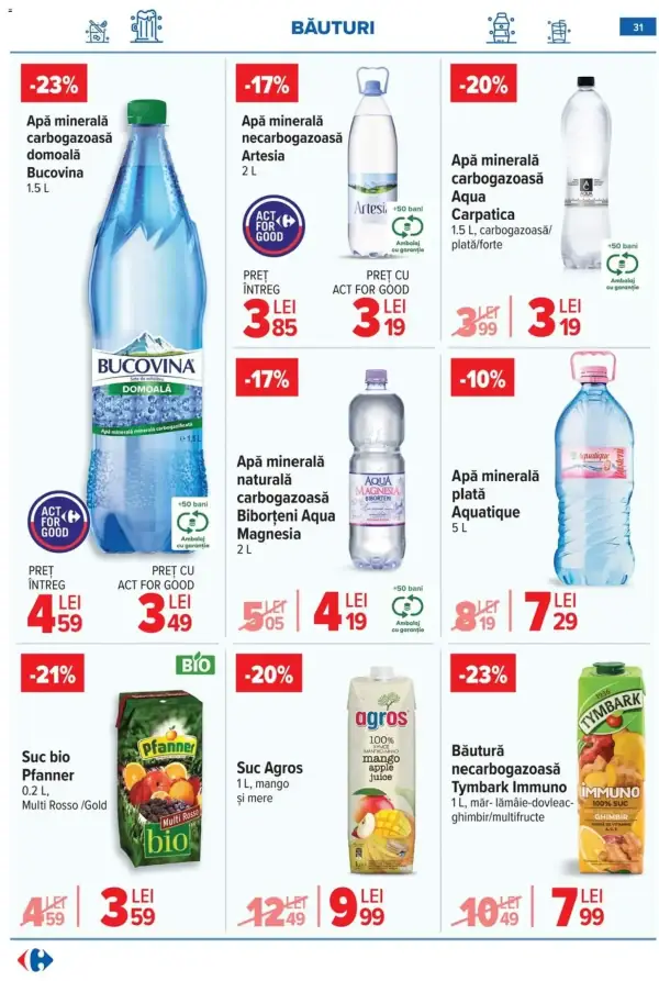 Pagina 31