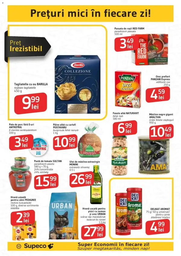 Pagina 12