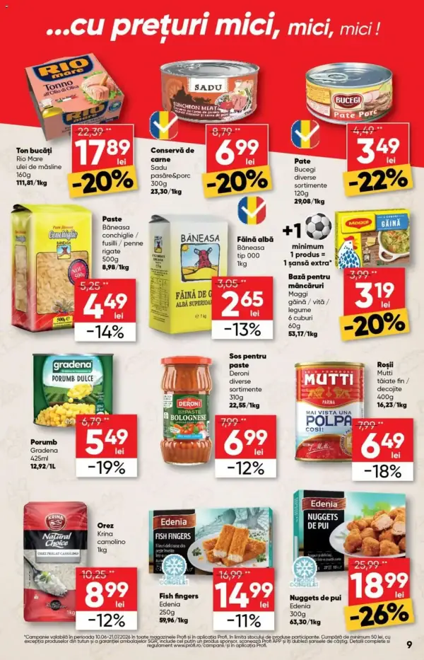 Pagina 9
