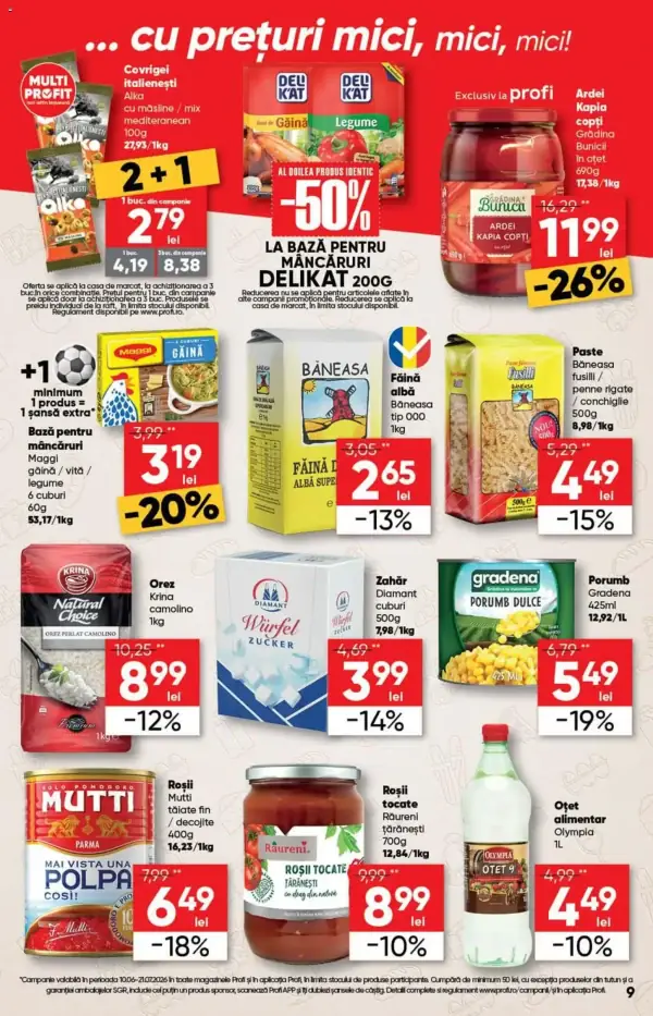 Pagina 9