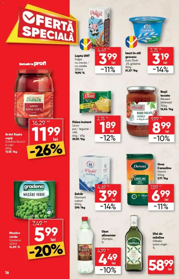 Pagina 16