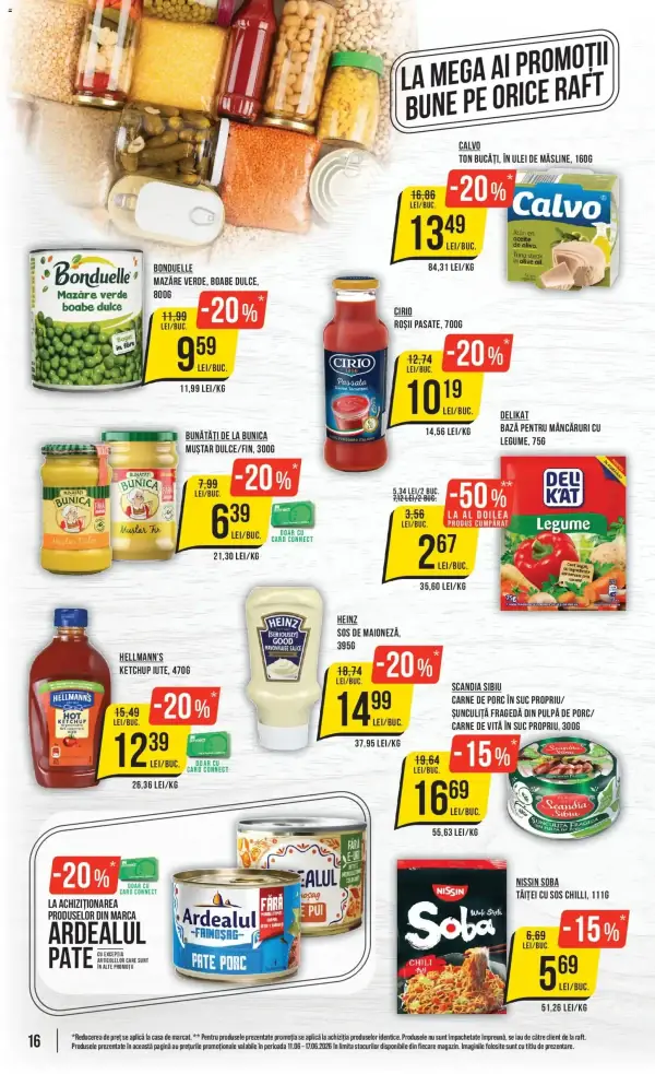 Pagina 16