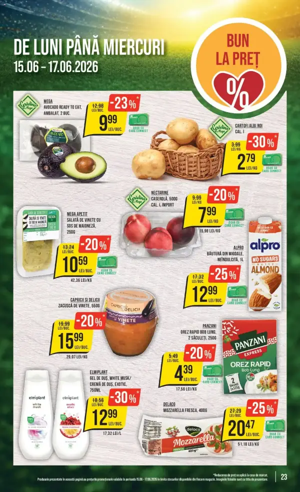 Pagina 23