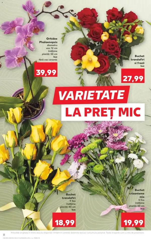 Pagina 8