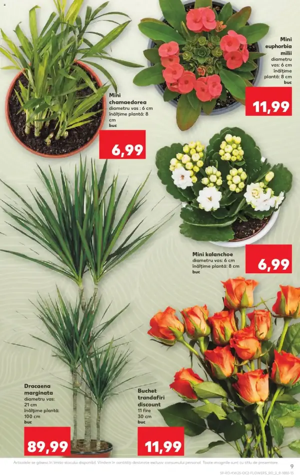 Pagina 9