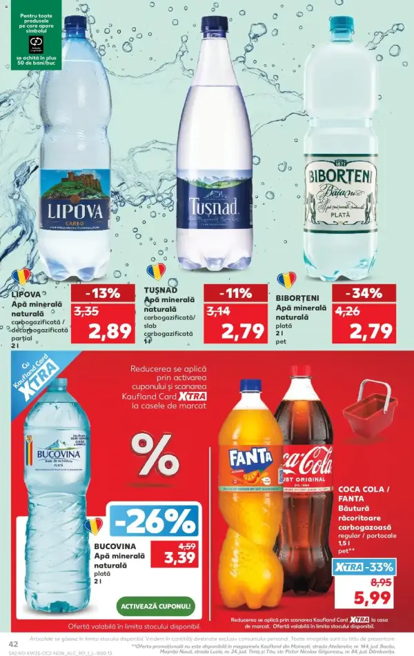 Pagina 42