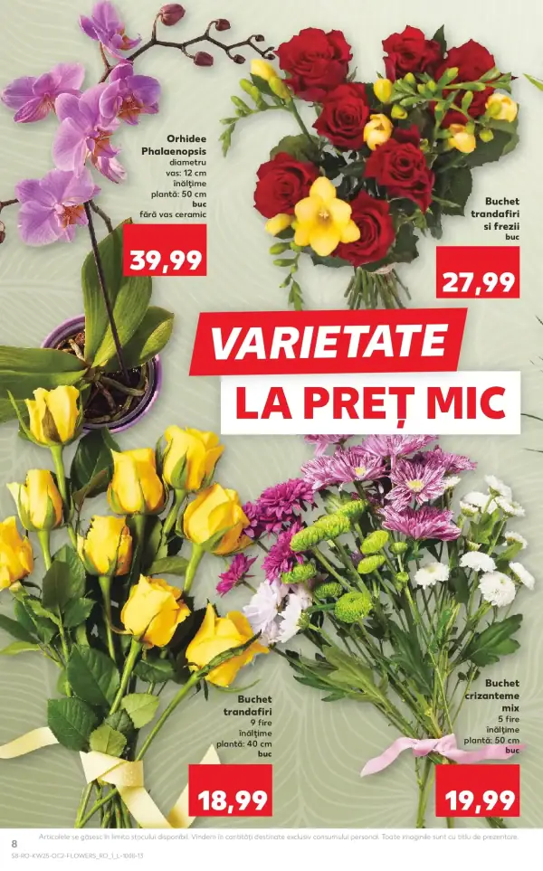 Pagina 8