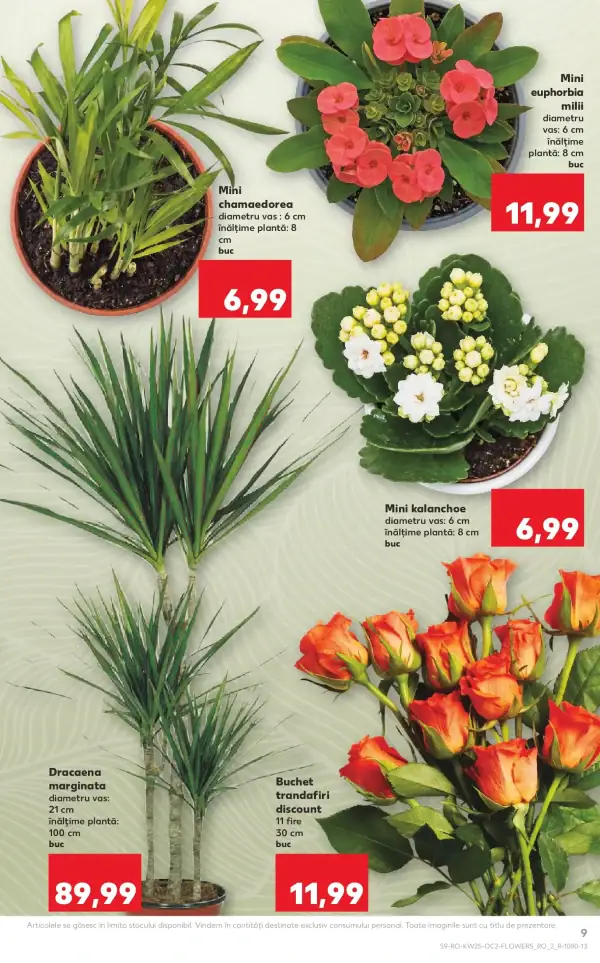 Pagina 9