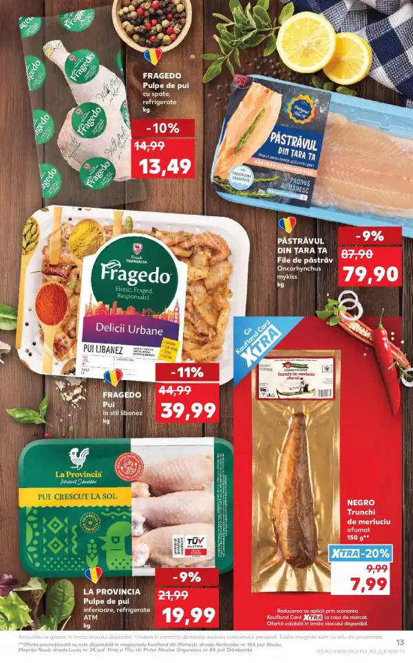 Pagina 13