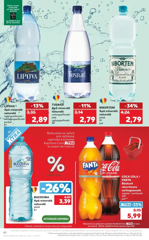 Pagina 42