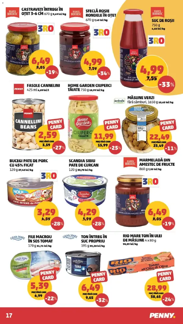 Pagina 17