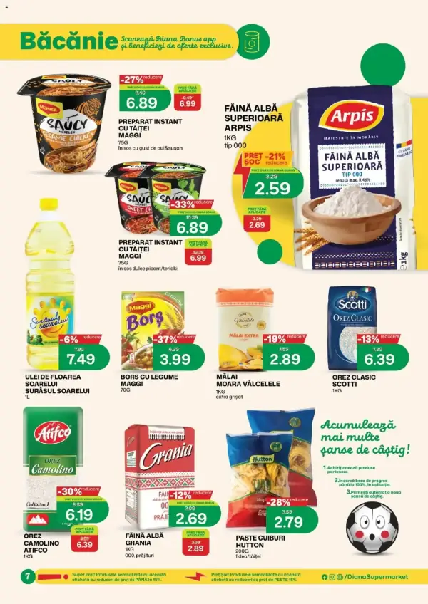 Pagina 7