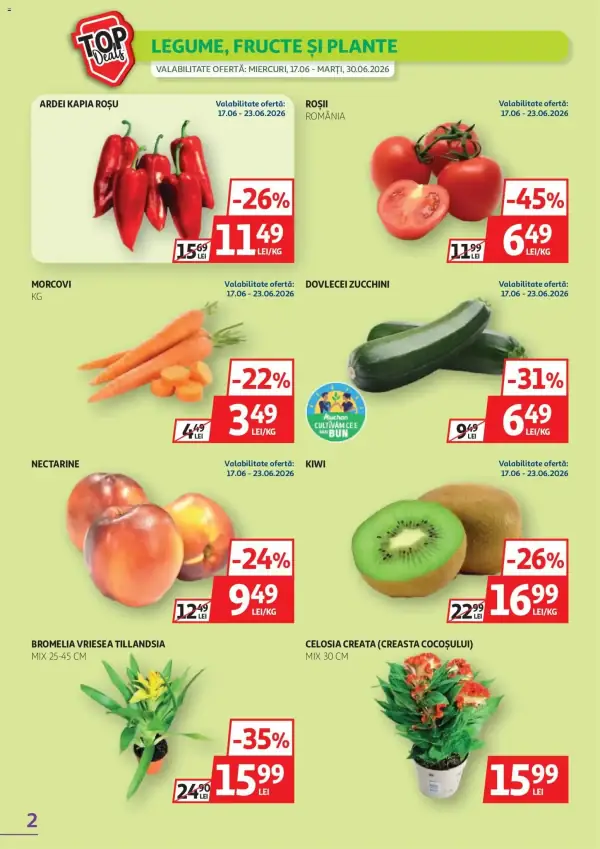 Pagina 2