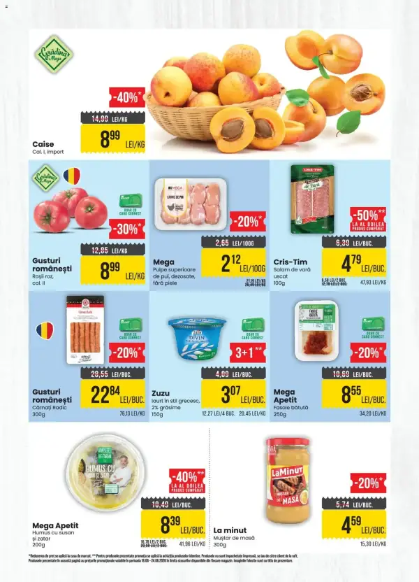 Pagina 2