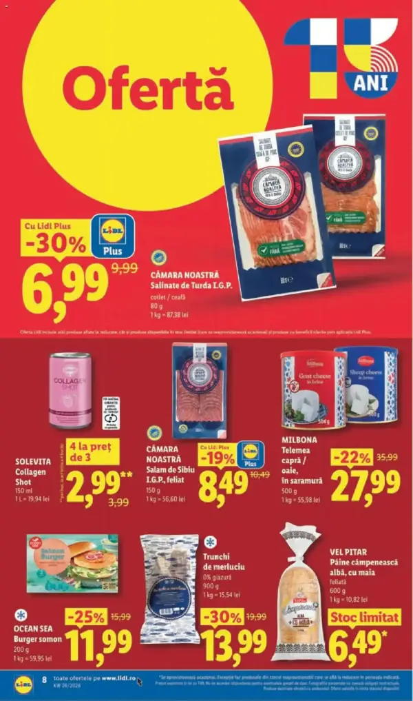 Pagina 8