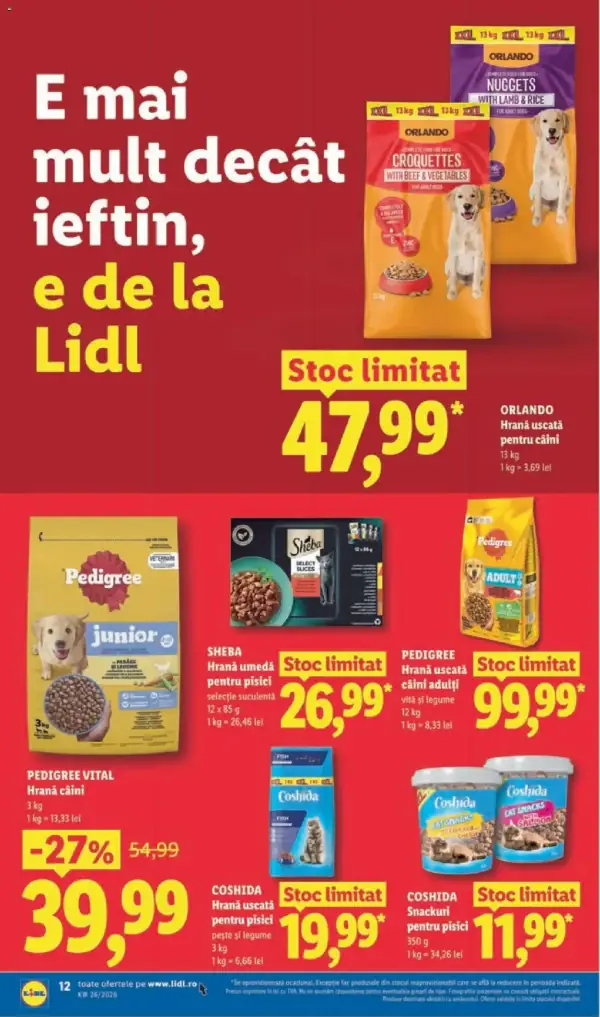 Pagina 12
