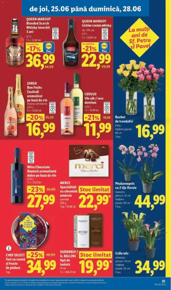 Pagina 31