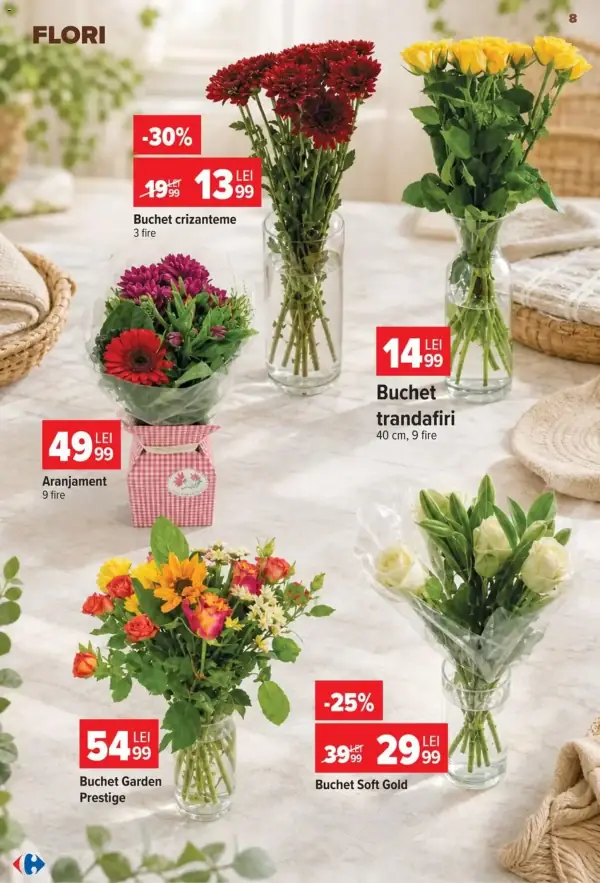 Pagina 7