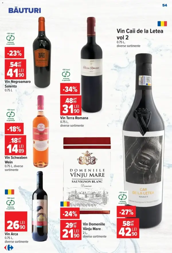 Pagina 53