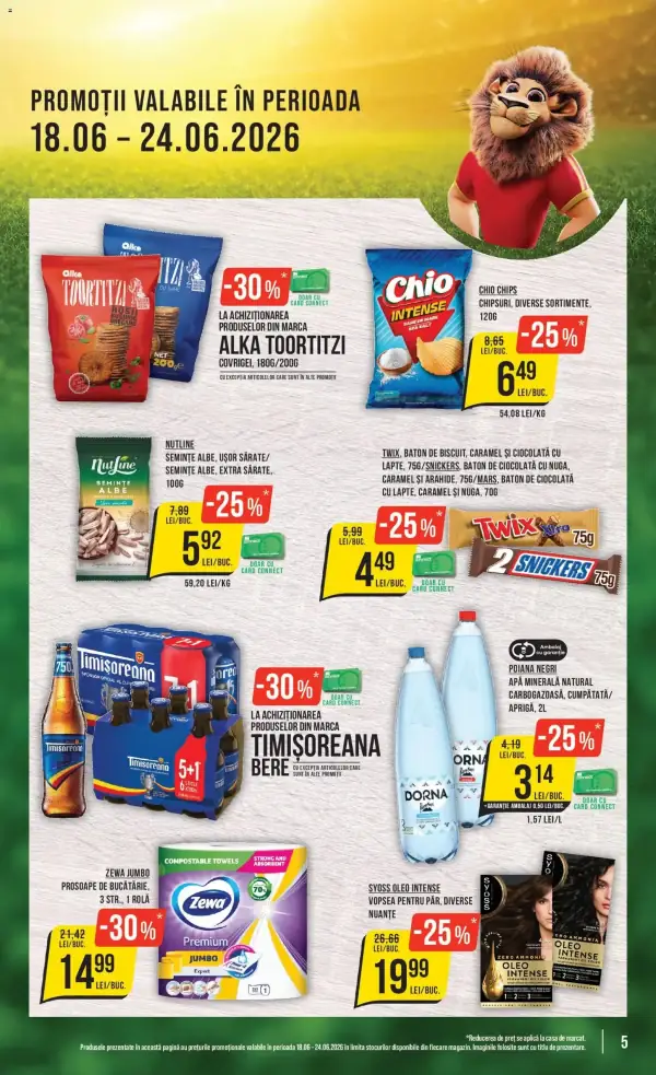 Pagina 5