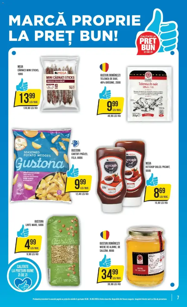 Pagina 7