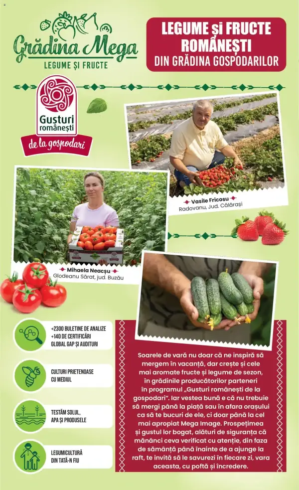Pagina 10
