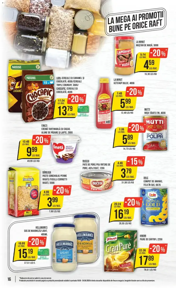 Pagina 16