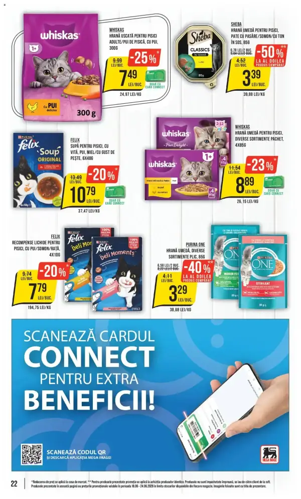 Pagina 22