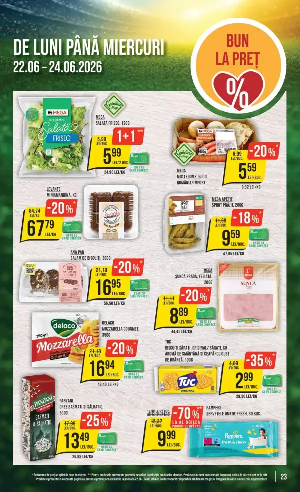 Pagina 23