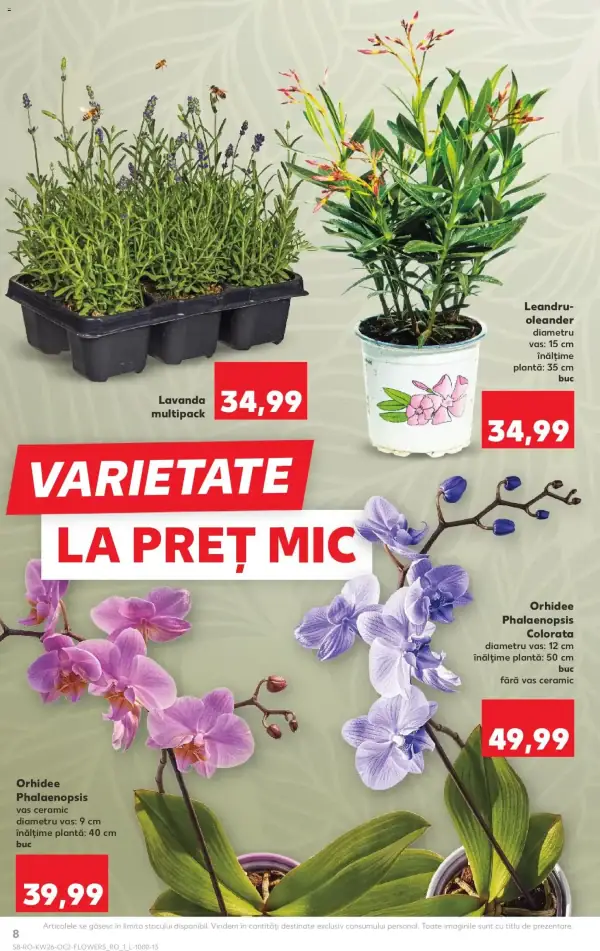 Pagina 8