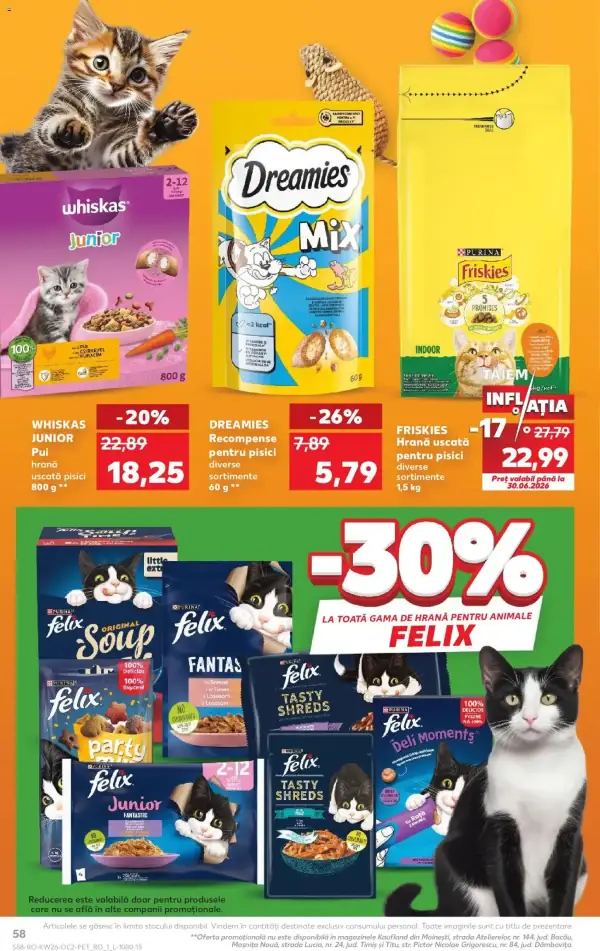 Pagina 58