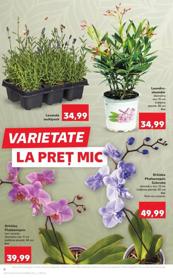 Pagina 8
