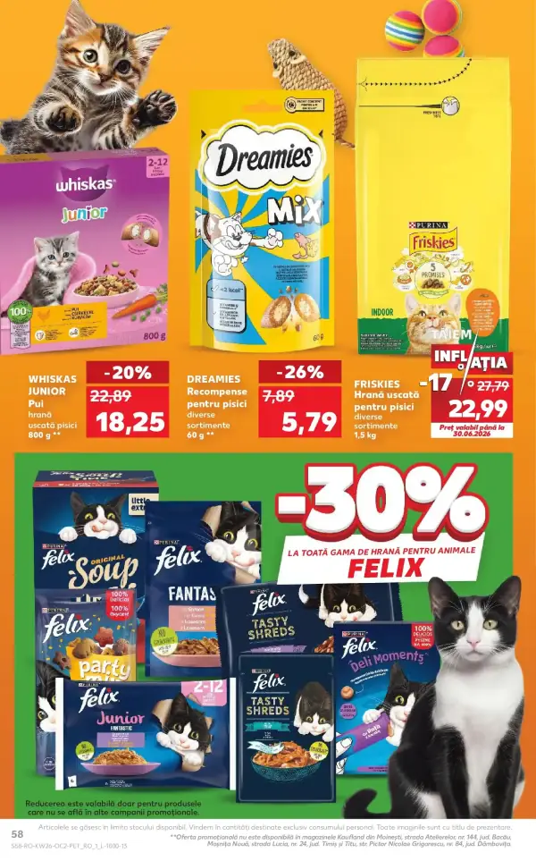 Pagina 58