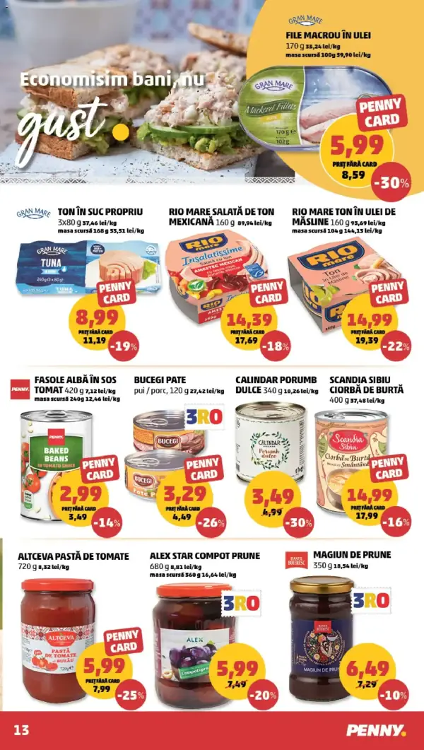 Pagina 13