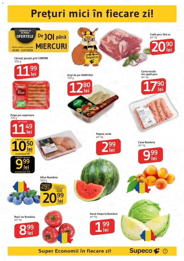Pagina 7