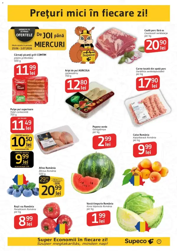 Pagina 7