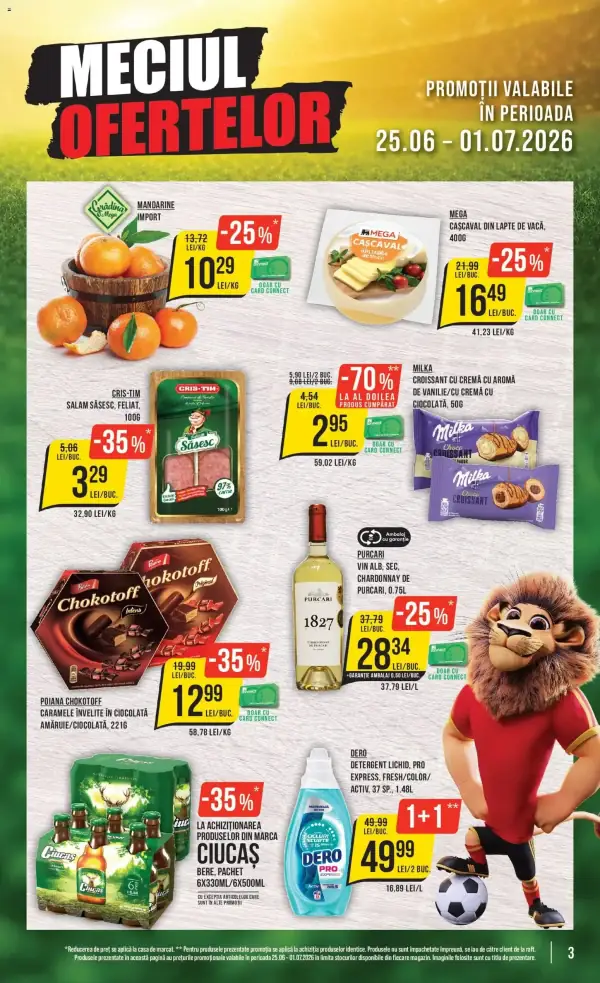 Pagina 3