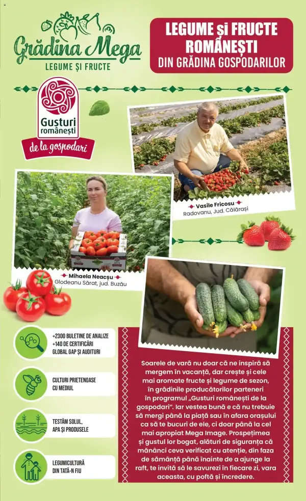 Pagina 11