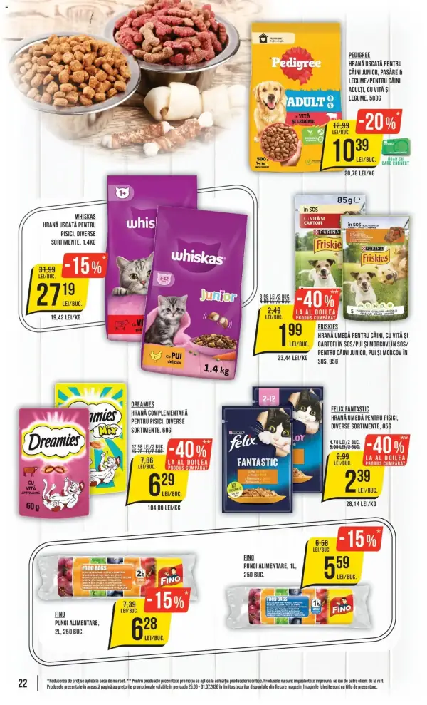 Pagina 22
