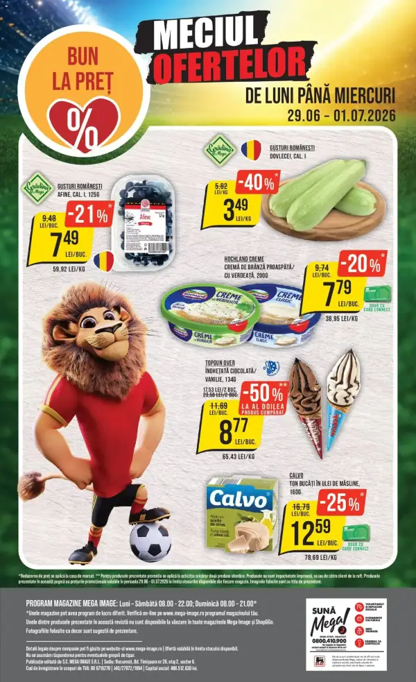 Pagina 24