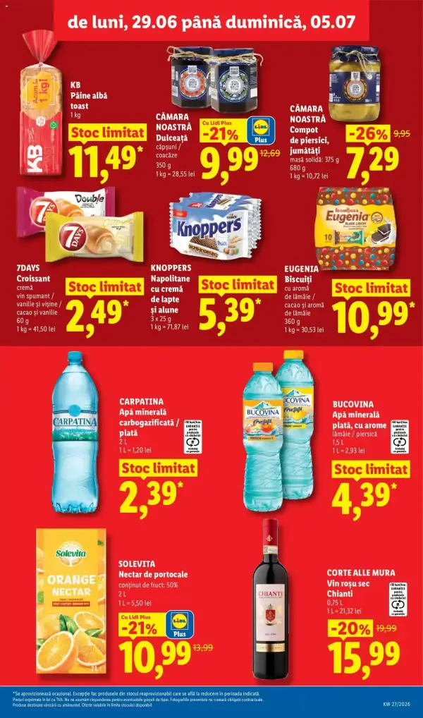 Pagina 13