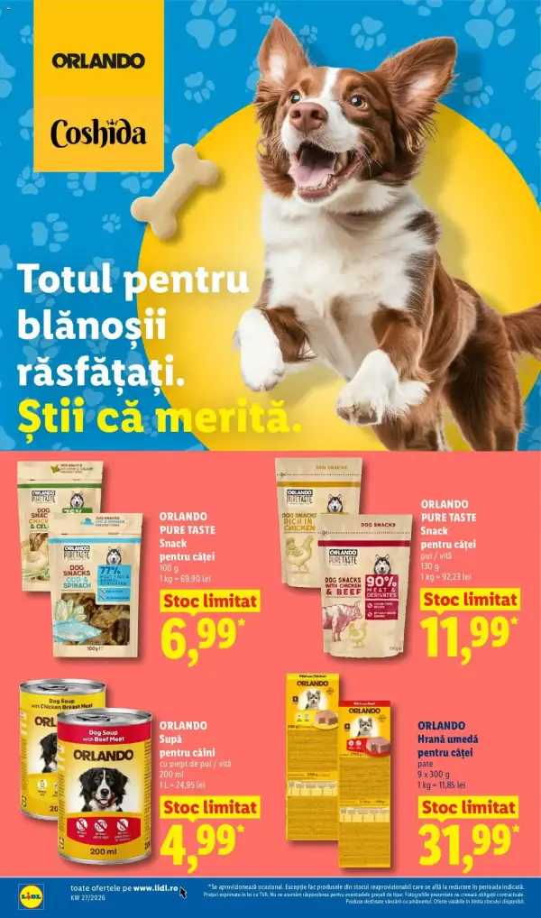 Pagina 40